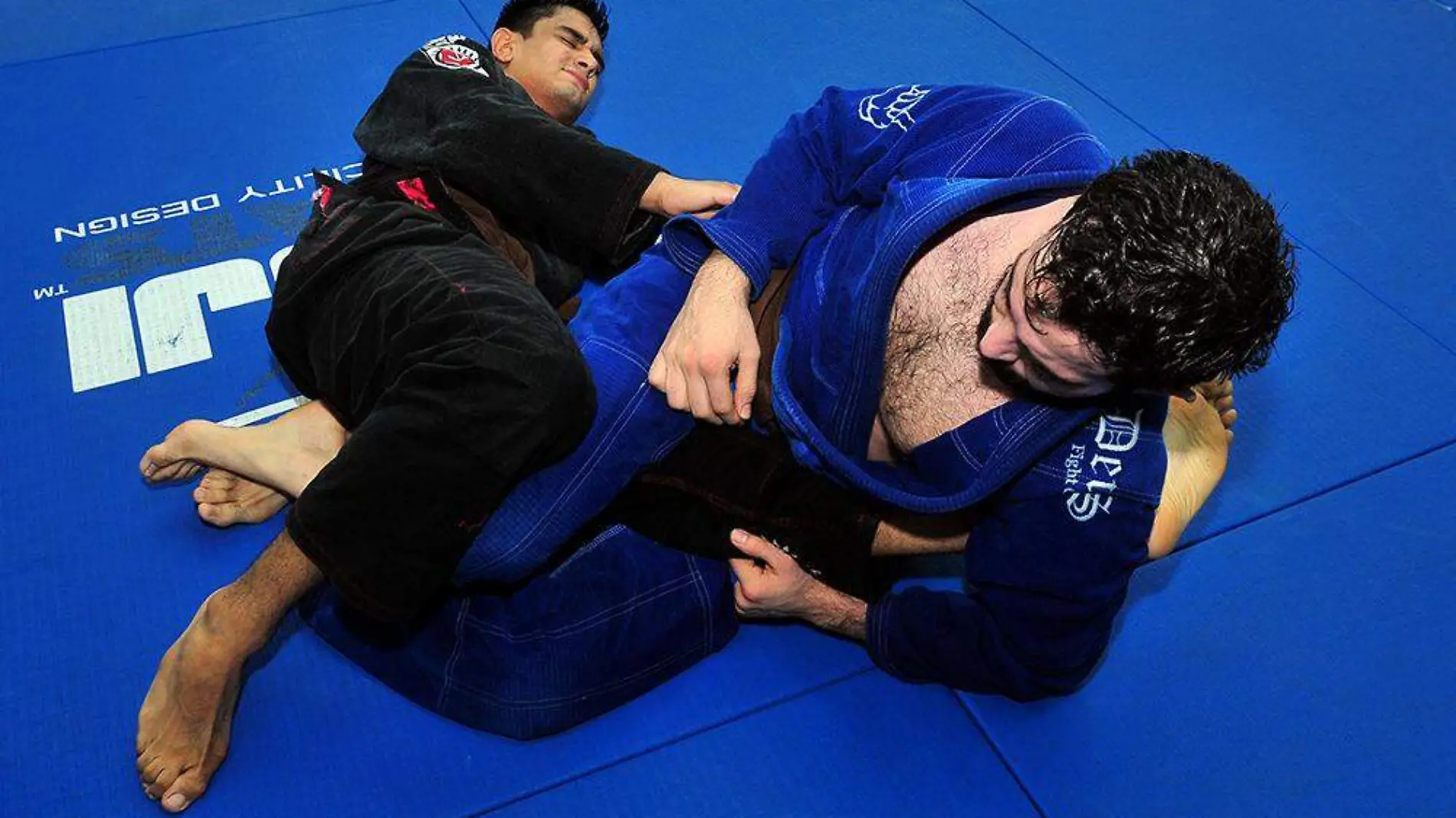 Jiujitsu 1